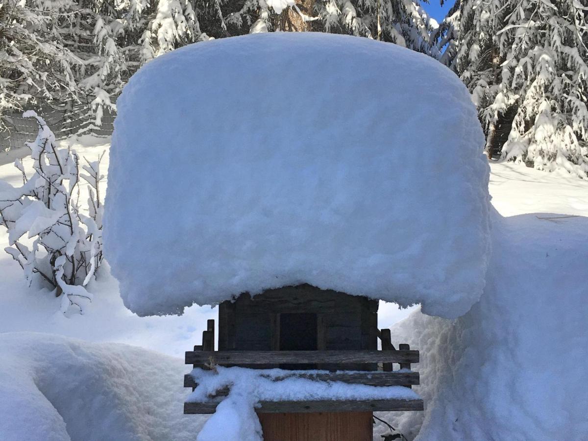 Guffertblick Villa Achenkirch Eksteriør bilde